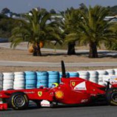 Felipe Massa pasa por delante de las palmeras de Jerez