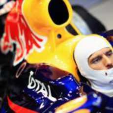 Webber sentado en su RB7