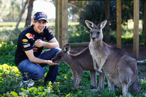 Vettel posa con unos canguros