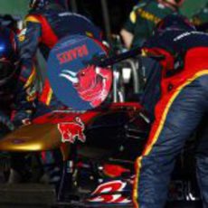 Cambio de neumáticos en Toro Rosso