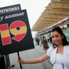 La 'pitbabe' de Jaime Alguersuari en el GP de Malasia 2011