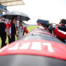 D'Ambrosio en la parrilla del circuito de Istanbul Park