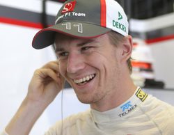 Las opciones de Nico Hülkenberg para 2014