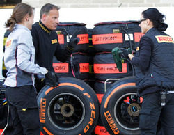 Pirelli organizará un test para probar los neumáticos de 2014