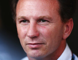 Christian Horner cree que los monoplazas evolucionarán rápidamente en 2014