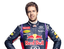 Sebastian Vettel: "Creo que en 2014 veremos más abandonos en carrera"