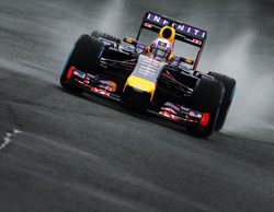 Daniel Ricciardo: "Estoy seguro de que el coche será competitivo"