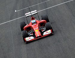 James Allison: "Las nuevas reglas ofrecen nuevas posibilidades"
