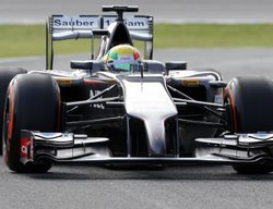La FIA revisará las reglas para evitar mantener la actual estética de los morros en 2015