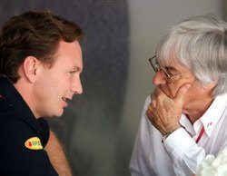 Horner pone fin a los rumores: rechaza sustituir a Ecclestone al frente de la F1