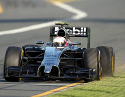 Jan Magnussen acompañará a Kevin Magnussen en el GP de Malasia 2014