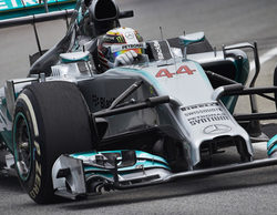 Lewis Hamilton vence con autoridad el Gran Premio de Malasia 2014