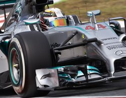 Lewis Hamilton y su Flecha Plateada brillan y triunfan en el GP de España 2014