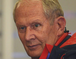 Helmut Marko: "Daniel Ricciardo es un piloto muy rápido"