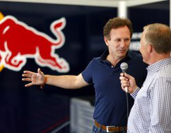 Horner defiende a Vettel y Alonso: "Creo que habría sido un error sancionarlos"