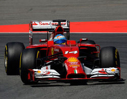 Fernando Alonso: "Creo que exprimí al máximo el F14 T"
