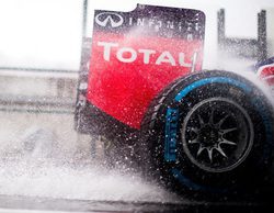 Encuesta: A parte de Mercedes, ¿qué equipo ha sido mejor en la primera mitad de 2014?