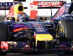Ricciardo: "Estoy seguro de que a Vettel le habría gustado ganar esta temporada"