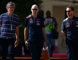 Adrian Newey opina sobre la descalificación: "Los otros coches están haciendo lo mismo"