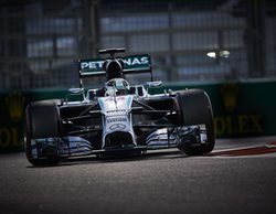 Lewis Hamilton se proclama Campeón del Mundo de Fórmula 1 2014