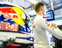 Franz Tost: "Daniil Kvyat ha hecho un gran trabajo para ser un debutante"