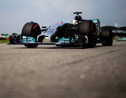 La FIA reconoce una laguna en el reglamento y permitirá modificar los motores durante 2015