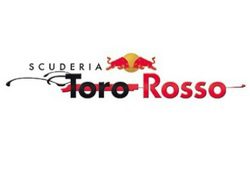 El nuevo Toro Rosso de 2015 pasa los 'crash test' de la FIA y queda homologado