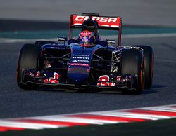 Max Verstappen: "Estoy contento de haber sido capaz de completar tantas vueltas"