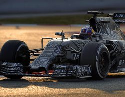 Daniel Ricciardo: "El coche ha ido muy bien y estamos haciendo progresos"
