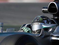 Rosberg se resiente de su espalda: "Quiero ir con cuidado, así que he decidido bajar del coche"