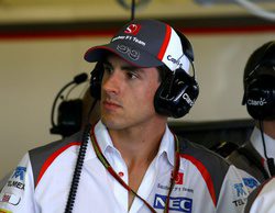 Adrian Sutil nuevo piloto reserva de Williams