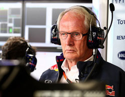 Helmut Marko: "Daniel Ricciardo ha demostrado que está al mismo nivel que Vettel"