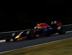 Daniel Ricciardo: "Tengo confianza es en que podamos luchar con Ferrari mañana"