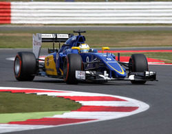 Marcus Ericsson tras sus primeras carreras en Sauber: "Creo que he aprendido mucho"