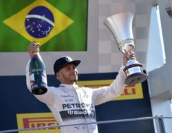 Lewis Hamilton: "Mi sueño siempre ha sido emular a Ayrton Senna"