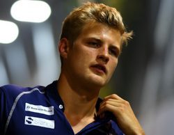 Marcus Ericsson: "Podremos estar en una buena posición para luchar por puntos"