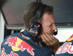 Chistian Horner: "No es bueno para la F1 que solamente haya dos motores competitivos"