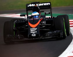 Fernando Alonso: "Hemos visto más degradación de la esperada"