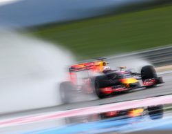 Daniel Ricciardo líder simbólico en la primera jornada de test de neumáticos en Paul Ricard
