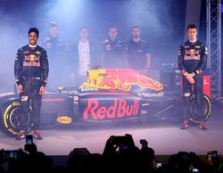 Red Bull desvela la decoración de sus monoplazas para 2016