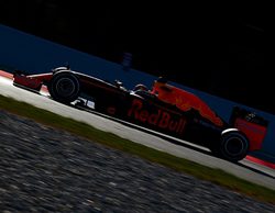 Problemas para Red Bull. "Hemos tenido problemas con el sistema de freno" explicaba Kvyat