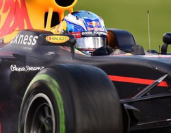 Daniel Ricciardo: "Es una pena que no hayamos rodado de forma constante"