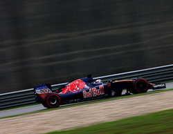 Max Verstappen: "En 2017 quiero luchar por podios"