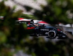 Stoffel Vandoorne tras charlar con Dennis y Boullier: "Pilotar en McLaren es mi prioridad"