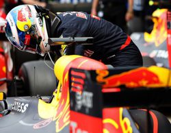 Daniel Ricciardo: "Es genial estar por delante de los dos Ferrari"