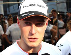 Stoffel Vandoorne: "Es algo muy positivo competir junto a Alonso en 2017"