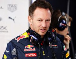 Horner responde a Wolff: "Que Rosberg luche por el título no es asunto de Verstappen"