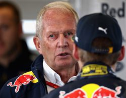 Helmut Marko vindica a Max Verstappen: "Ha demostrado estar por encima de la media"