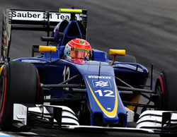 Felipe Nasr sigue buscando asiento para 2017: "Mi prioridad es seguir en Sauber"