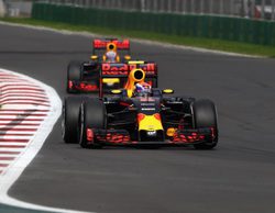 Max Verstappen: "Mi relación con Ricciardo es similar a la que tenía con Sainz"